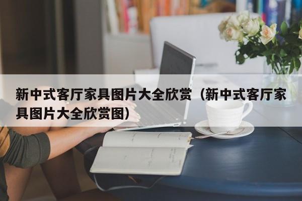 新中式客厅家具图片大全欣赏（新中式客厅家具图片大全欣赏图）