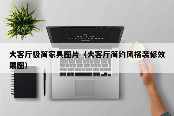 大客厅极简家具图片（大客厅简约风格装修效果图）